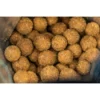 Lk Baits Boilies Tester Series_01 Pure Signal 18-20Mm 800G 4 Lk Baits Boilies Tester Series 01 Pure Signal 18 20Mm 800G 2