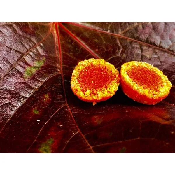 LK Baits Fish Activ Plus Compota NHDC, 18 mm, 200 ml 2