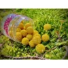Lk Baits Fish Activ Plus Record Corn 18 Mm, 200 Ml 3