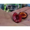 Lk Baits Nutrigo Amur Jugo Mirabel 150Ml, 20Mm 3