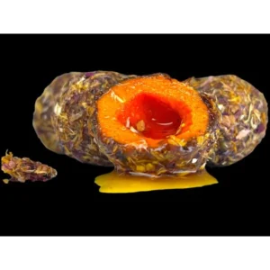 LK Baits Nutrigo Néctar de Hierbas 150ml 20mm