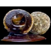 Lk Baits Nutrigo Balanceado Tiger Nut 200Ml 20Mm