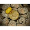Lk Baits Nutrigo Balanc Partículas De Tigre 200Ml, 20 Mm 1G