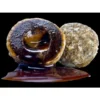 Lk Baits Nutrigo Balanceado Tiger Nut 200Ml 20Mm