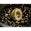 Lk Baits Nutrigo Balanc Partículas De Cáñamo Y Algas Marinas 200 Ml, 20 Mm 1