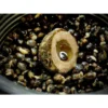 Lk Baits Nutrigo Balanc Partículas De Cáñamo Y Algas Marinas 200 Ml, 20 Mm 1