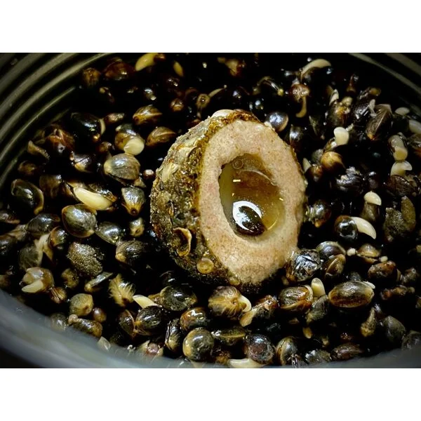 LK Baits Nutrigo Balanc Partículas de cáñamo y algas marinas 200 ml, 20 mm 1