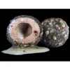 Lk Baits Nutrigo 200Ml 20Mm Balanceado Para Carpfishing