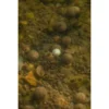 Lk Baits Pop-Up Blanco Tester Series_01 Pure Signal 14-20Mm 3 Lk Baits Pop Up Boilies Tester Series 01 Pure Signal 150Ml, 14 20Mm, Blanco 2