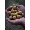 Pro Elite Baits Boilie Soluble Piña Scopex 20Mm 3.5Kg