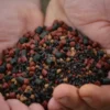 Pellets Pro Elite Baits Boom Mix 2,5Kg 2 Pro Elite Baits Mix Boom Con Krill, Halibut Y Betaína De Coppens