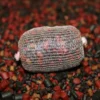 Pellets Pro Elite Baits Boom Mix 2,5Kg 4 Pellets Pro Elite Baits Boom Mix 2,5Kg Mezcla De Micropellets Premium