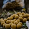 Pro Elite Baits Natural Food Boilies Pineapple Scopex Con Colorantes Naturales