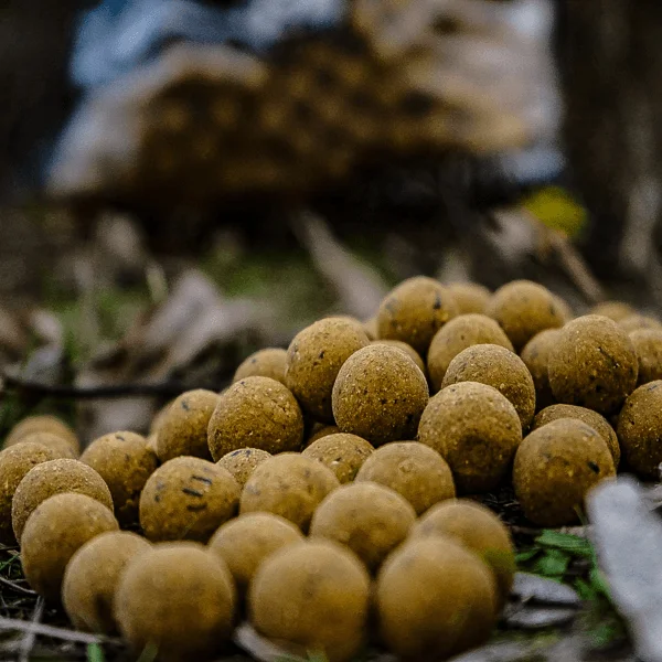 Pro Elite Baits Natural Food Boilies Pineapple Scopex con colorantes naturales