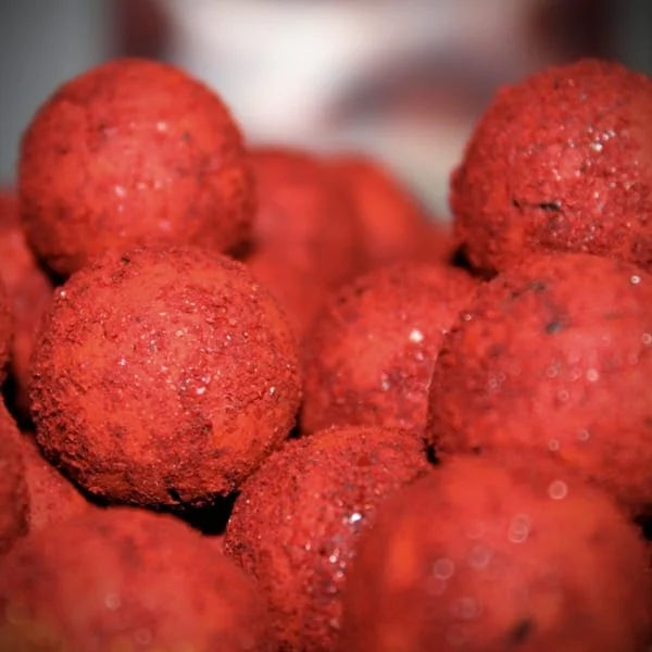 Pro Elite Baits Session Pack de mora con cubo, pellet, boilies, dip y pop-up