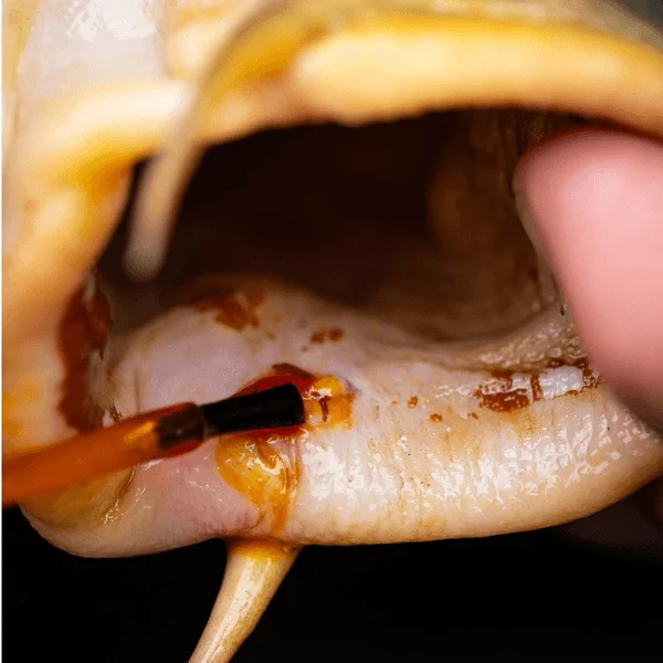 Pro Elite Baits MediCarp Antiséptico tras desanzuelar