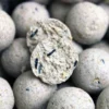 Pro Elite Baits Pack White De Piña Y Scopex