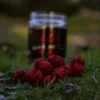 Pro Elite Baits Wafter Robin Red Boilie-Dumbell Balanceado