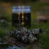 Pro Elite Baits Tuna Spirulina Gold Wafter Hb Boilie-Dumbell 14Mm 2 Pro Elite Baits Wafter Tuna Spirulina Boilie-Dumbell Balanceado