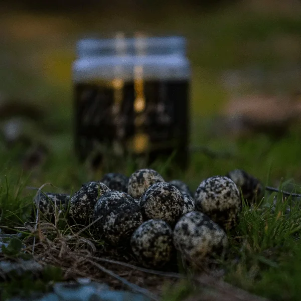 Pro Elite Baits Wafter Tuna Spirulina boilie-dumbell balanceado