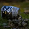 Pro Elite Baits Tuna Spirulina Gold Wafter Hb Boilie-Dumbell 14Mm 3 Pro Elite Baits Tuna Spirulina Gold Wafter Hb Boilie-Dumbell 14Mm Para Carpas Desconfiadas