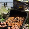 Boilies Eurobase Squid Octopus 24Mm Sabor Calamar Y Pulpo