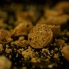 Sticky Krill Boilies 1