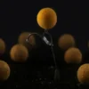 Sticky Krill Pop-Up 1