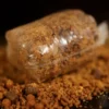 Sticky Krill Spod 2