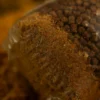 Sticky Krill Stick Mix 1