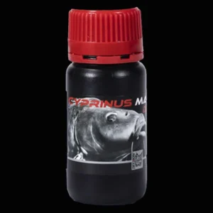 Trybion Dip Cyprinus Max