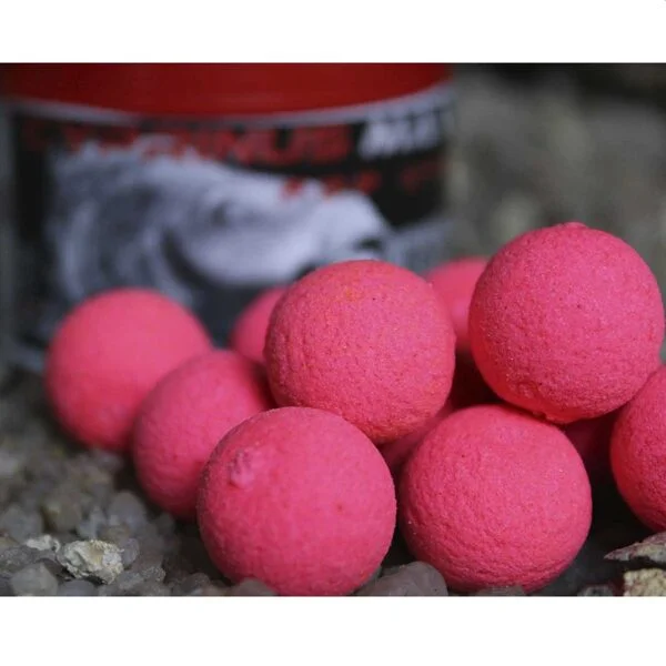 TRYBION POP UP CYPRINUS MAX 2