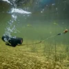 Water-Wolf-2