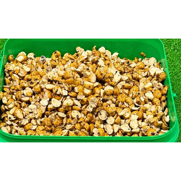 Quality Seeds Chufa Laminada 5kg detalle de la chufa partida en el cubo