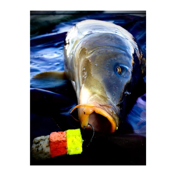 LK Baits CUC! Piña 40g, cebo LK Baits para carpfishing