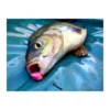 Lk Baits Cuc! Piña 40G, Cebo Lk Baits Para Carpfishing