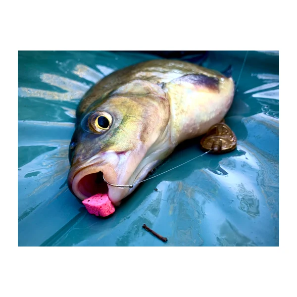 LK Baits CUC! Piña 40g, cebo LK Baits para carpfishing