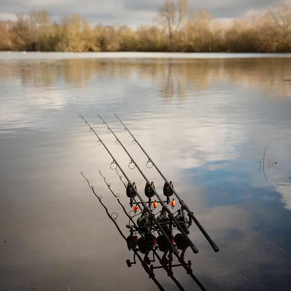 Fox EOS X 12ft 3.25lb Full Shrink cañas en el agua